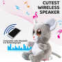 Exquisite gift professional microphone for singing